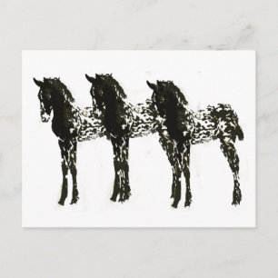 Carte Postale Colts d'application