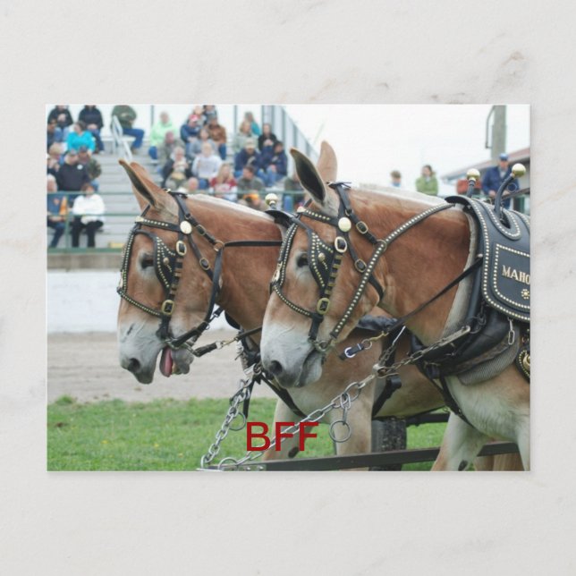 Carte Postale columbia tn (Devant)