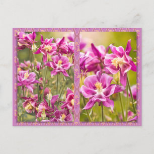 Carte Postale Columbines Diptyque