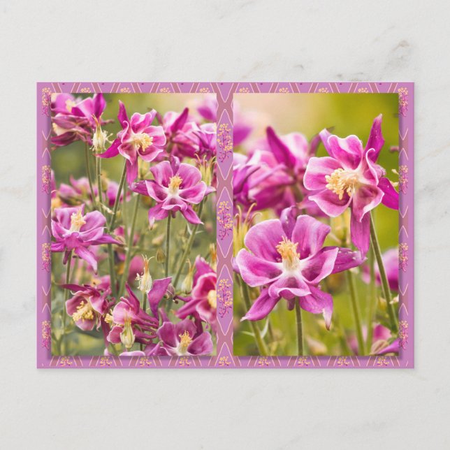 Carte Postale Columbines Diptyque (Devant)