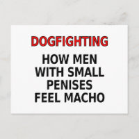 Combat de chiens : Comment les hommes avec des pet