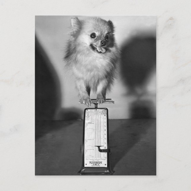 Carte Postale Combien Peser ? (Devant)