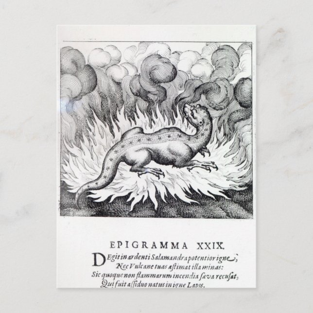 Carte Postale Comme la Salamandre vit dans le feu (Devant)