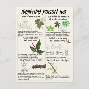 Carte Postale Comment identifier le poison Plantes ivoiriens - R