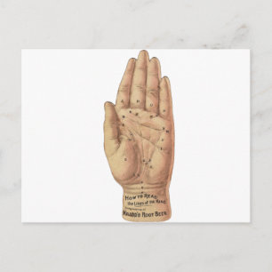 Carte Postale Comment lire les palmiers