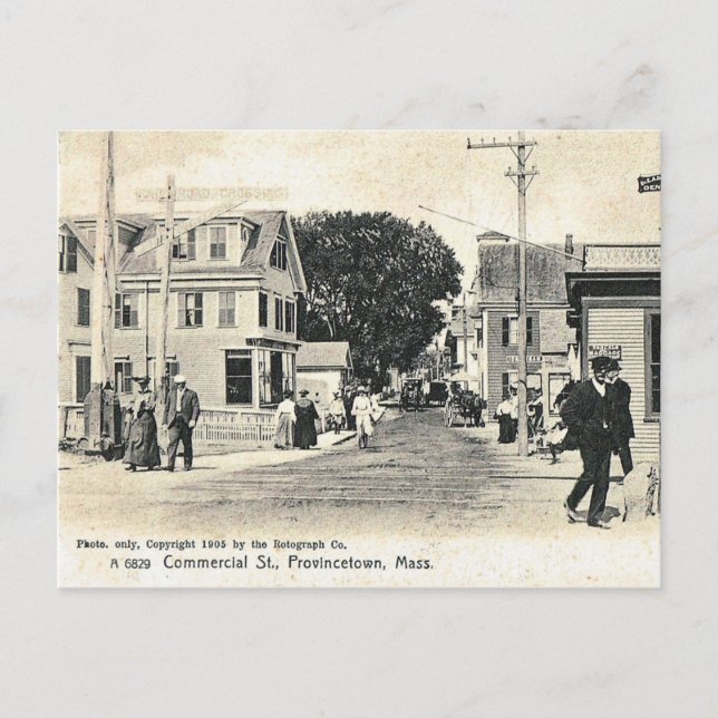 Carte Postale Commerciale St, Provincetown, Vintage (Devant)
