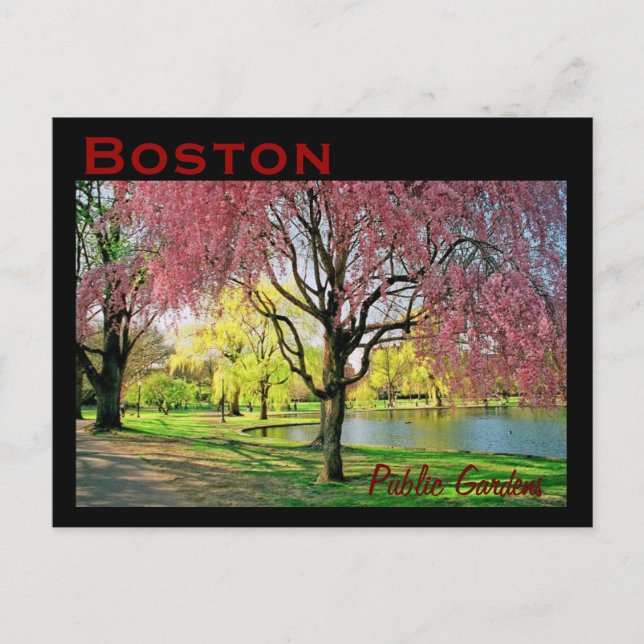 Carte postale commune de Boston - Customisée (Devant)