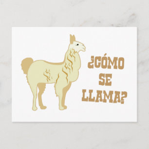 Carte Postale Como Se Llama ? Quel est ton nom ?