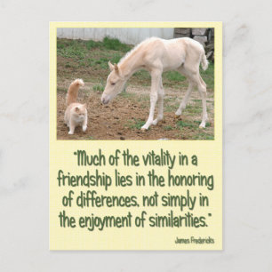 Carte Postale Compagnons Cremello Amitié