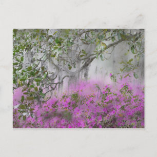 Carte Postale Composite numérique des azalées et des magnolias