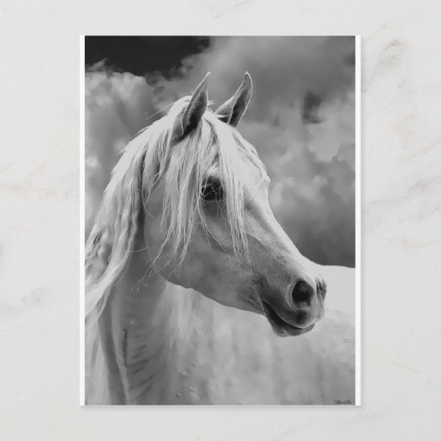 Carte Postale Composition de la série (Devant)