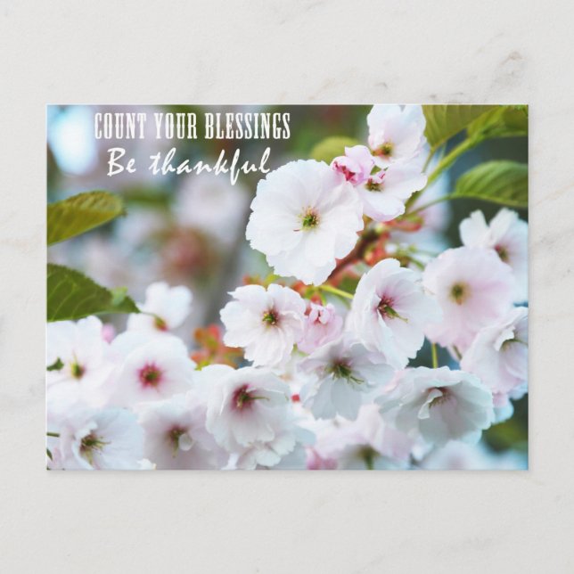 Carte Postale Comptez vos bénédictions (Devant)