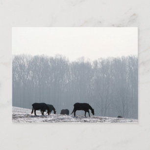 Carte Postale Comté de Chester, Pa