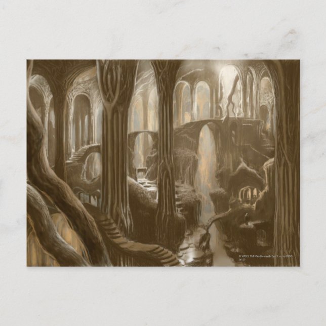 Carte Postale Concept de domaine forestier (Devant)