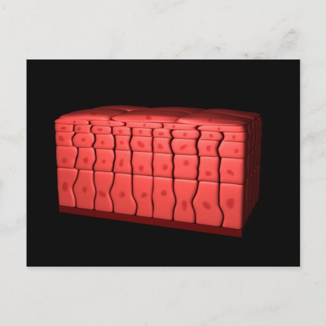 Carte Postale Concept De Stratifié Squamous Epithelium 2 (Devant)