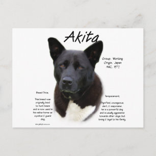 Carte Postale Conception de l'histoire Akita noire