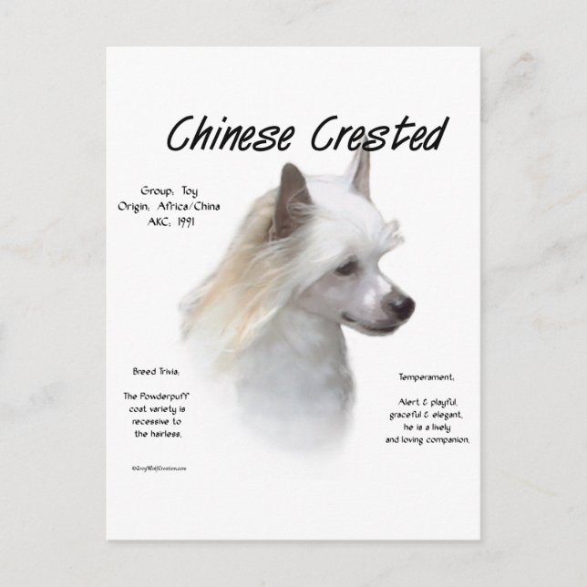 Carte Postale Conception de l'histoire de la crête chinoise (pou (Devant)
