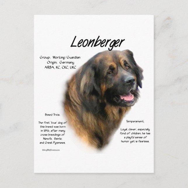 Carte Postale Conception de l'histoire de Leonberger (Devant)