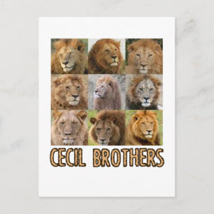 Carte Postale Conception de Lion cool