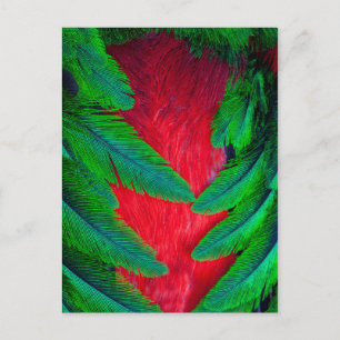 Carte Postale Conception de plume de Quetzal resplendissant