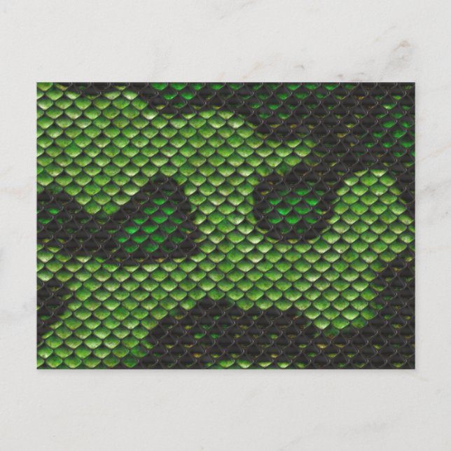 Carte Postale Conception de style Camo de la peau de serpent ver (Devant)