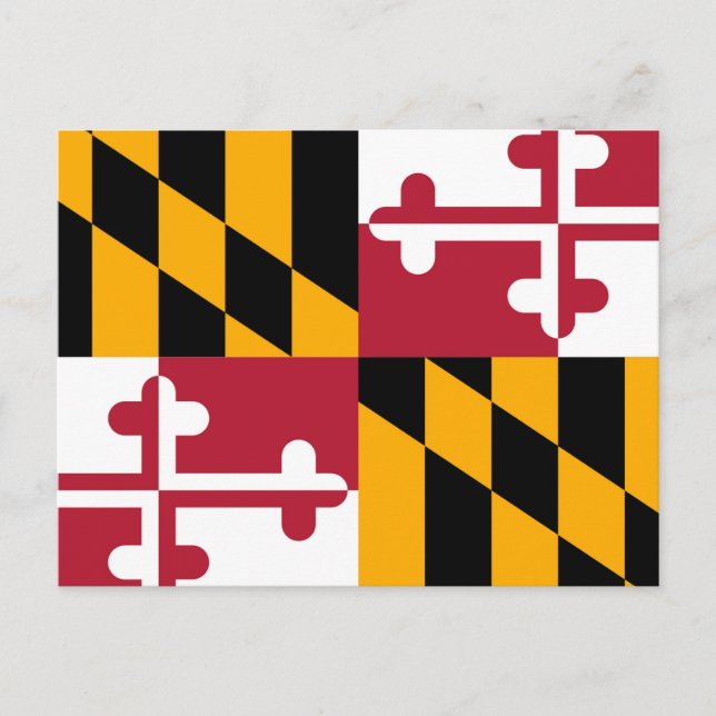 Carte Postale Conception du drapeau de l'État du Maryland (Devant)