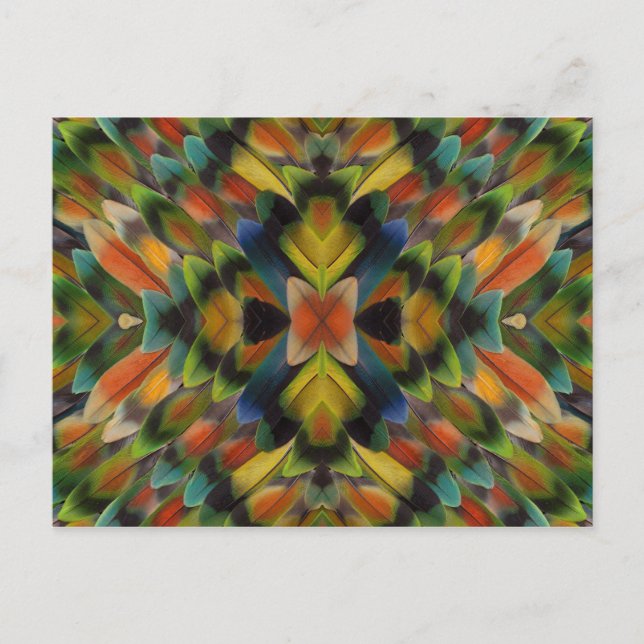 Carte Postale Conception fractale des plumes de l'inséparable (Devant)