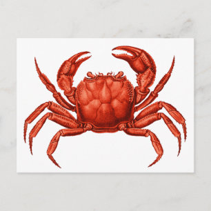 Carte Postale Conception vintage du crabe