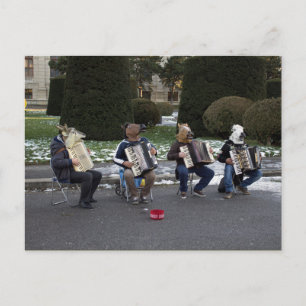 Carte Postale Concert animal