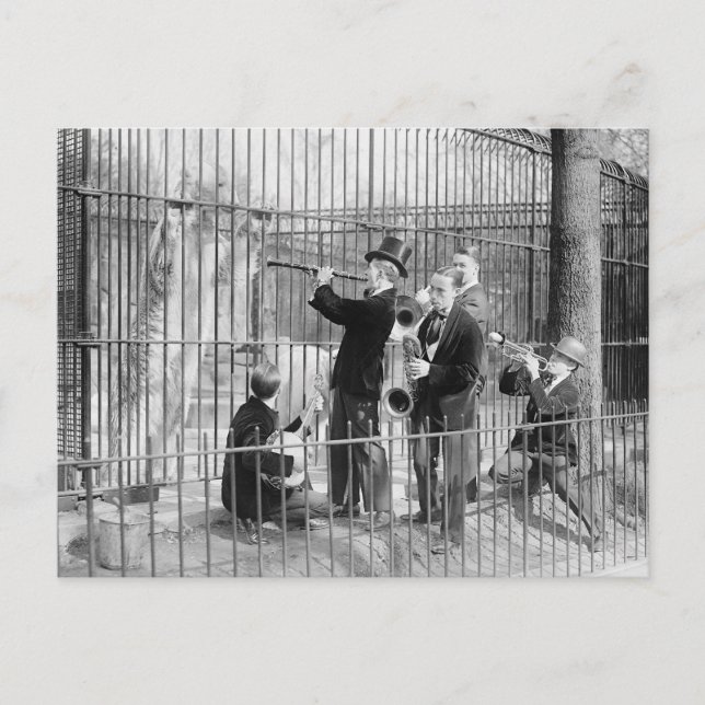 Carte Postale Concert Pour Ours Polaires, 1925 (Devant)