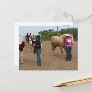 Carte Postale Concours Hippique Présentation Paint et Palomino