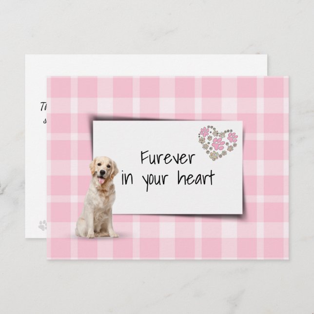 Carte Postale Condoléances pour la perte d'un Golden Retriever (Devant / Derrière)