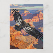 Condor dans le parc national du Grand Canyon