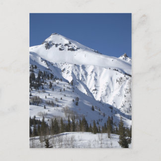 Carte Postale conduite au colorado