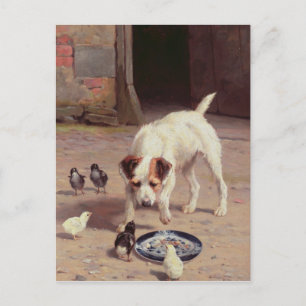 Carte Postale Confrontation