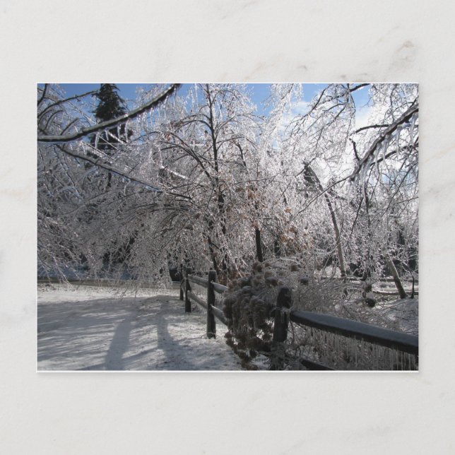 Carte Postale Congelé (Devant)