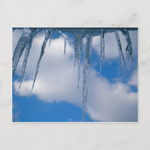 Carte Postale Congelé
