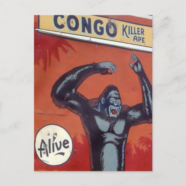 Carte Postale Congo, le tueur du cirque (Devant)
