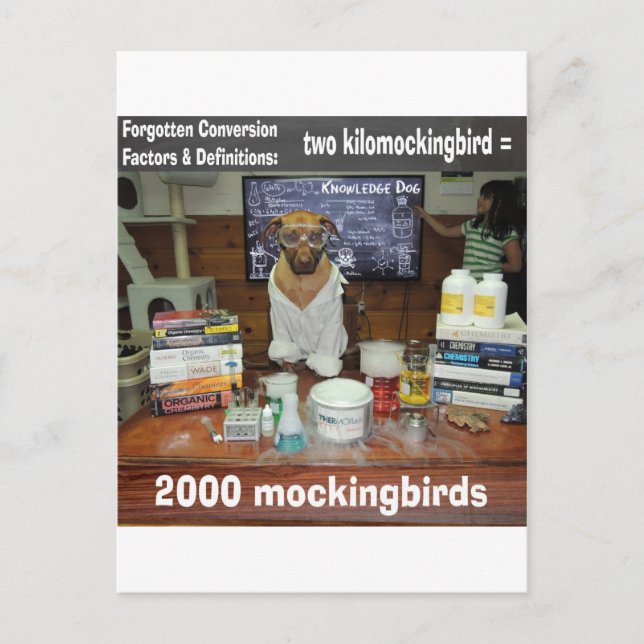 Carte Postale Connaissance Chien Oublié Conversion kilomockingbi (Devant)