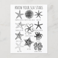Connaissez vos étoiles de mer - Groupes Starfish