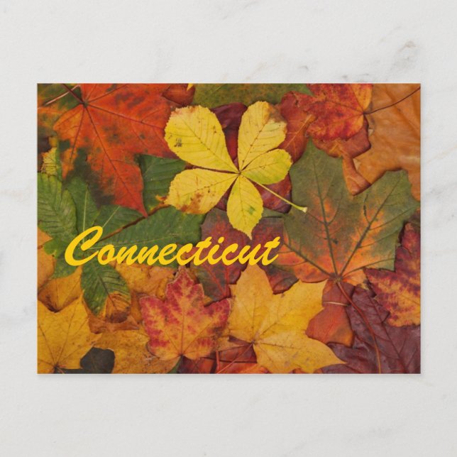 Carte postale Connecticut Autumn Leaves (Devant)