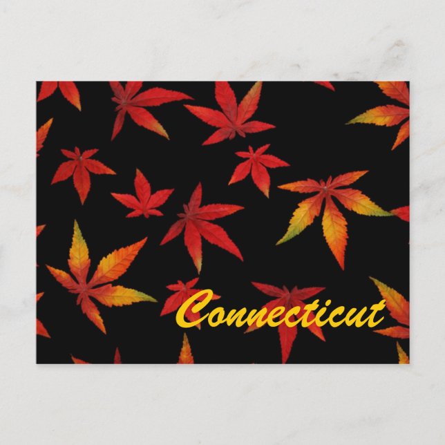 Carte postale Connecticut Autumn Leaves (Devant)