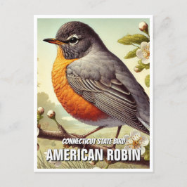 Carte Postale Connecticut State Bird American Robin