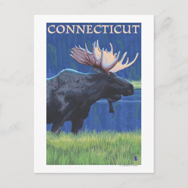 Carte Postale ConnecticutMoose au clair de lune (Devant)