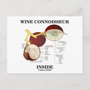Carte Postale Connoisseur de vin à l'intérieur (Berry de raisin