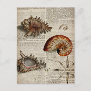 Carte Postale conque côtier vintage coquillage imprimé botanique