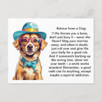 Conseil Drôle D'Un Chien