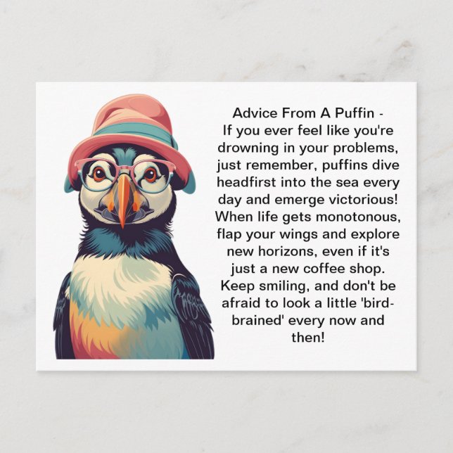 Carte Postale Conseil Drôle D'Un Puffin (Devant)