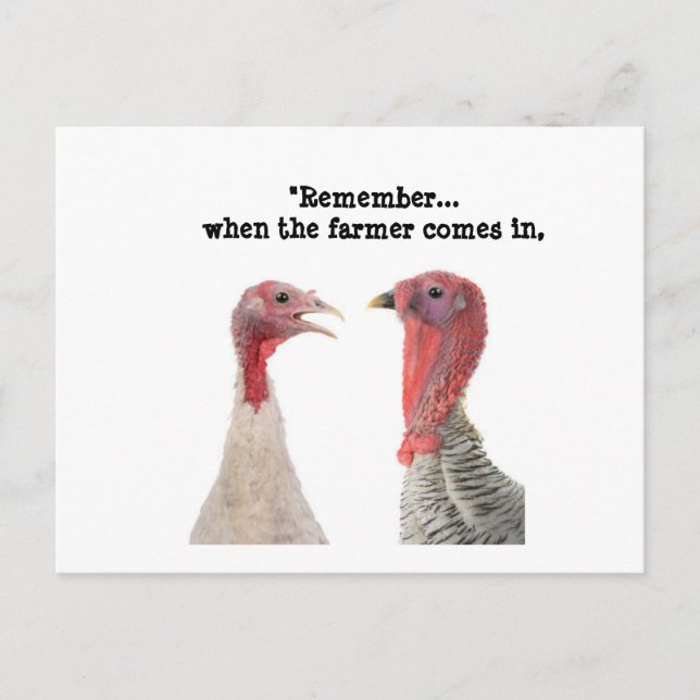 Carte Postale Conseil Humoristique De La Turquie De Thanksgiving (Devant)