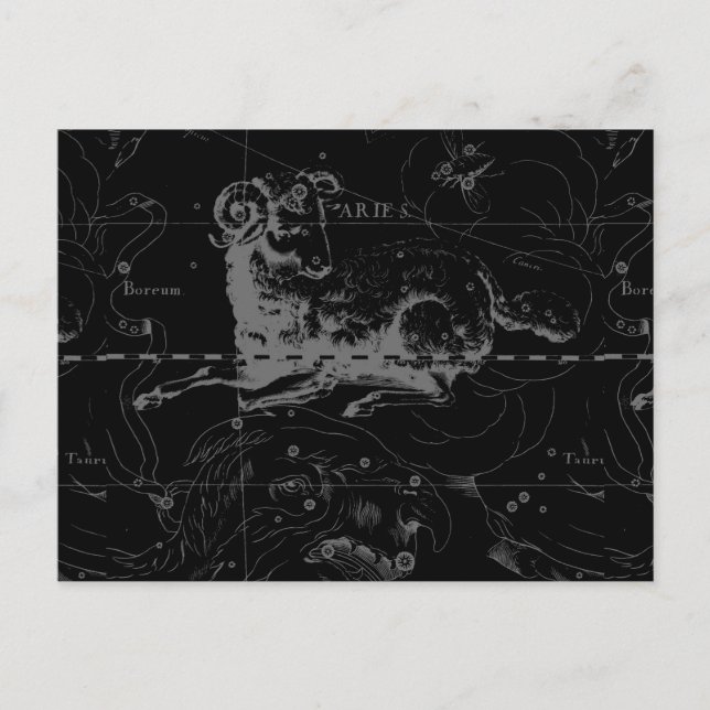 Carte Postale Constellation de baies Vintages élégantes par Heve (Devant)